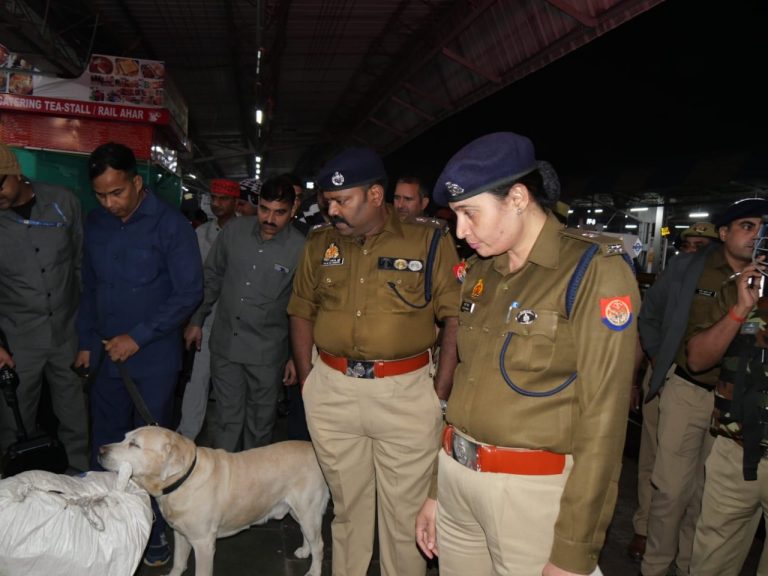 WhatsApp Image 2025-11-12 at 09.15.15